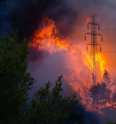 Underground Cables May Lesson Impacts in Forested Areas